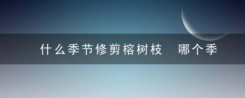 什么季节修剪榕树枝 哪个季节修剪榕树枝合适
